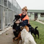 What role do foster homes play in the animal rescue process?