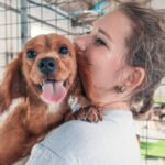 Which animal rescue techniques are most effective for wildlife rehabilitation?