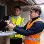 Which animals are most commonly in need of rescue and rehabilitation?